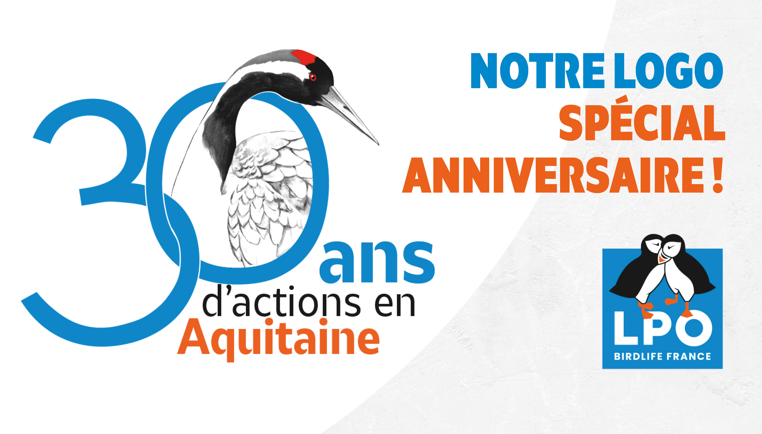 Découvrez le logo de nos 30 ans !